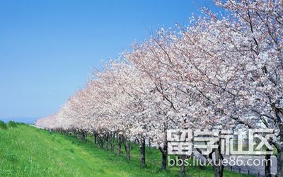 日本留学理财